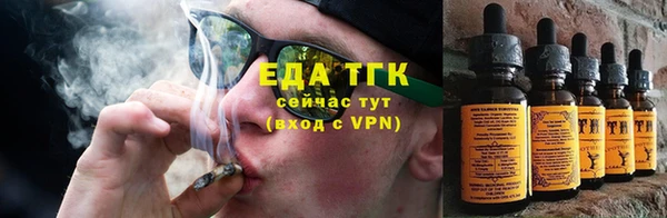 гашик Заполярный