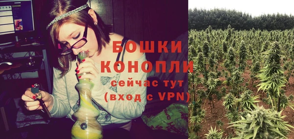 спайс Кулебаки