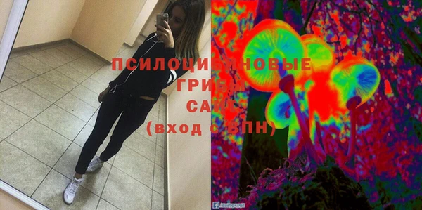 прущая мука Ладушкин