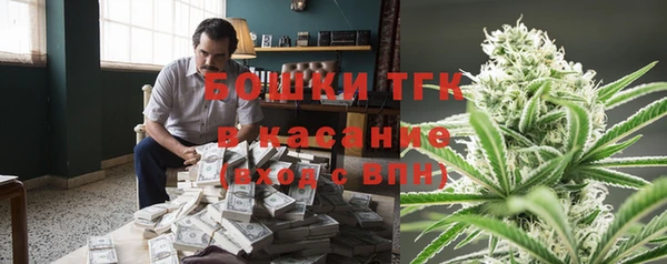 спайс Кулебаки