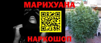 прущие грибы Дубна