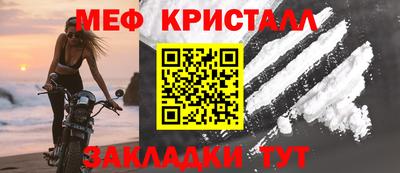 прущие грибы Дубна