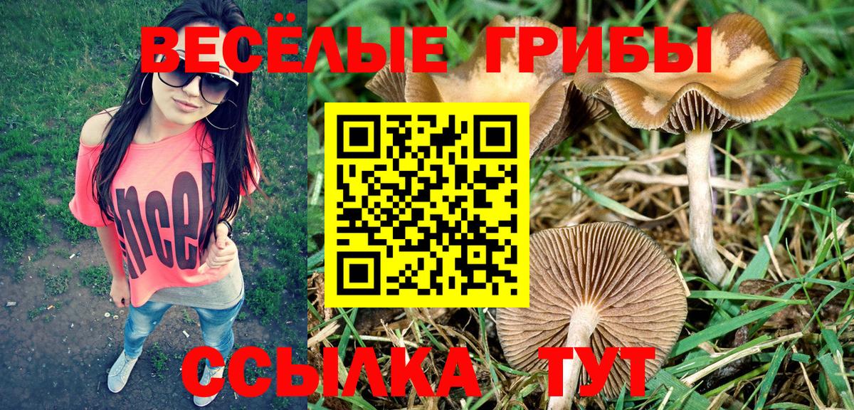 Галлюциногенные грибы MAGIC MUSHROOMS  Вход с VPN  Можайск 