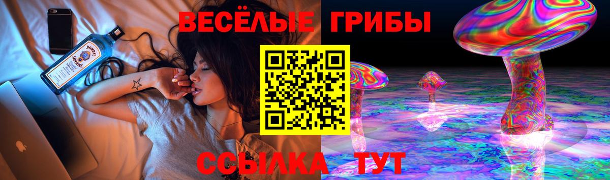 Галлюциногенные грибы ЛСД Можайск